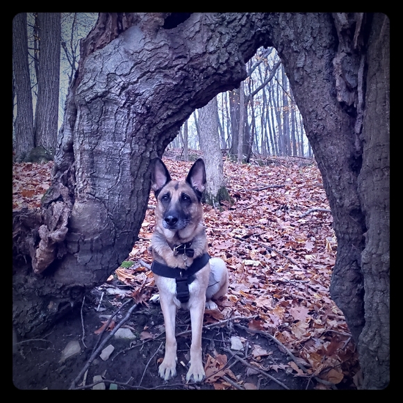 Meet your Posher, Barb - Picture 1 of 1